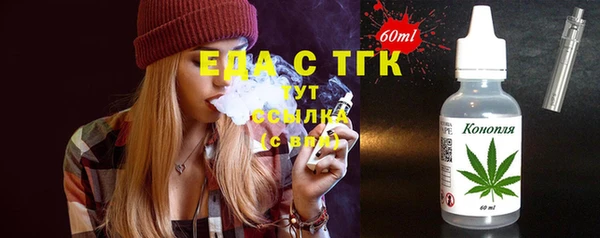 индика Волосово