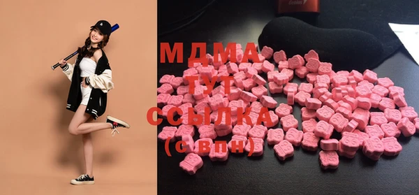 индика Волосово