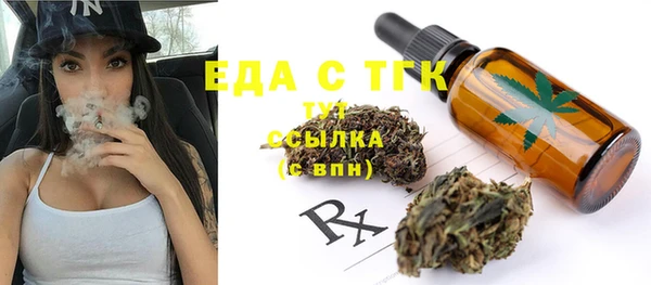 индика Волосово