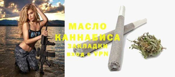 индика Волосово