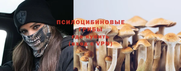 индика Волосово