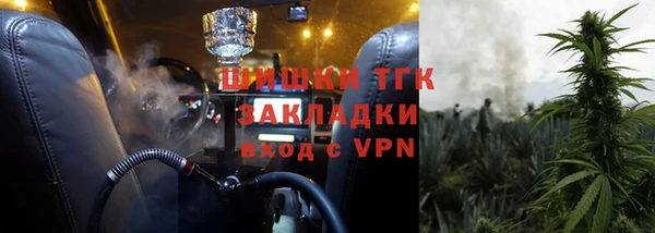 индика Волосово
