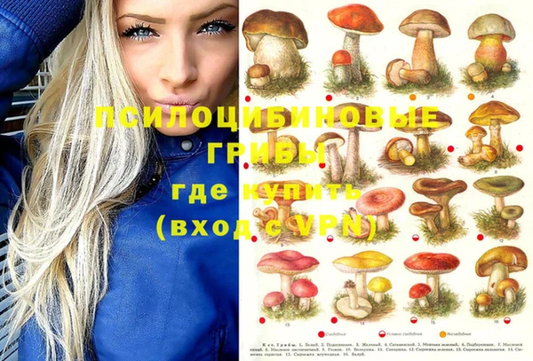 мяу мяу мука Волоколамск