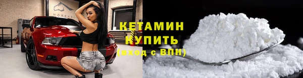 индика Волосово