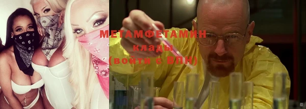индика Волосово