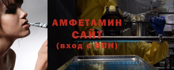 индика Волосово
