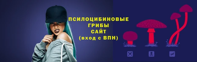 мяу мяу мука Волоколамск
