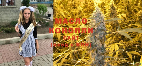 индика Волосово
