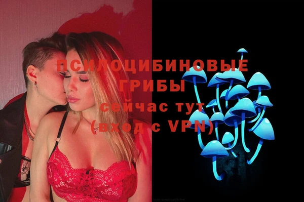 индика Волосово