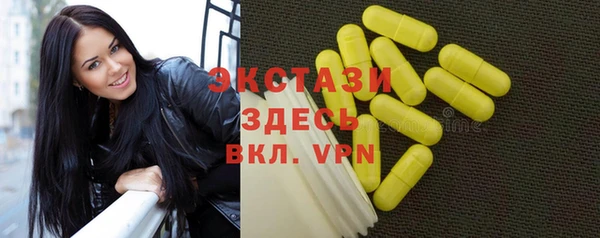 индика Волосово