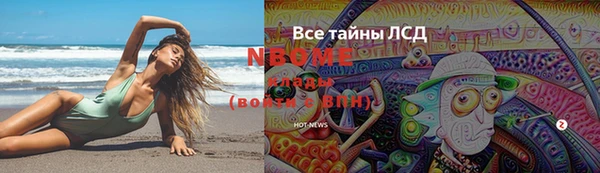 индика Волосово