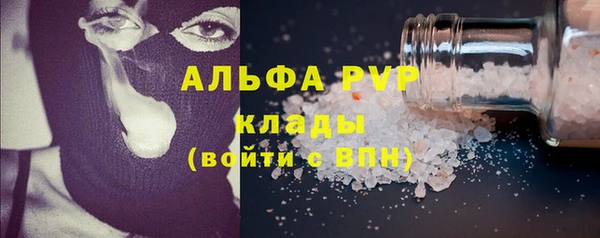 индика Волосово