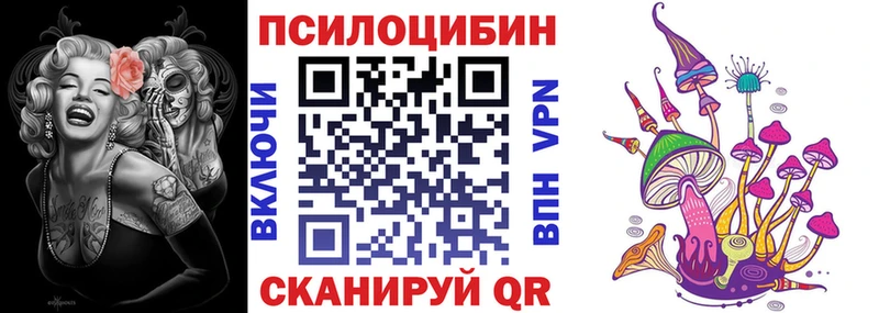 Купить где  Облучье  Псилоцибиновые грибы мухоморы 
